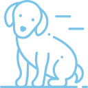 dog-86-394