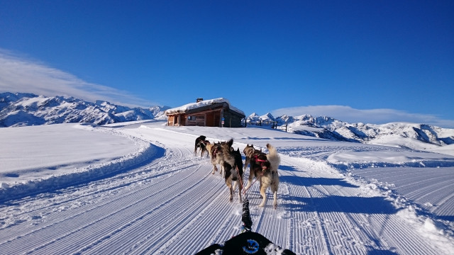 Angaka (Chiens de traîneau, Cheval, Sortie Raquettes ....)