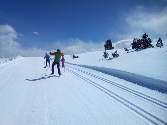Info neige, Ouverture des pistes