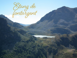 fontargent-1-9140