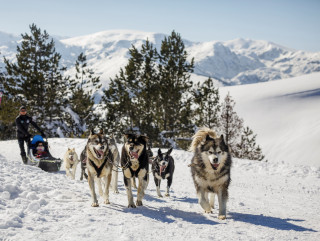 i8a4177-8802 i8a4177-8802