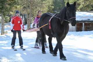 jty-yv8g-8805 jty-yv8g-8805