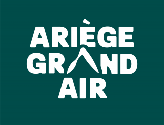 logo-ari-ge-grand-air-fondvert-blanc-9203