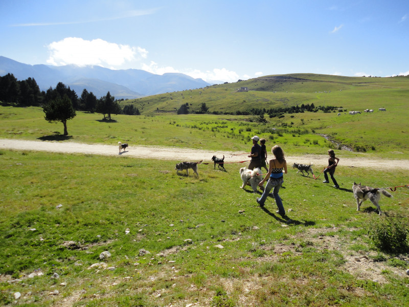 paysage-cani1-9190 - © angaka paysage-cani1-9190