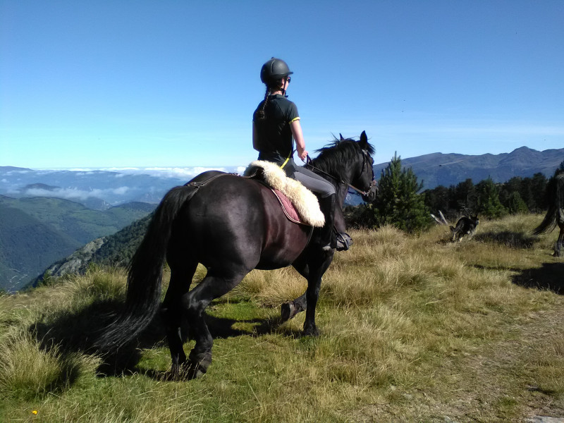 rando-cheval-9189 - © angaka rando-cheval-9189